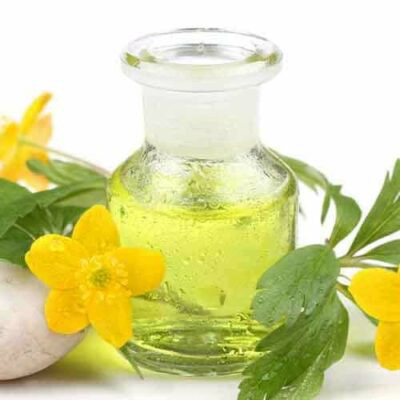 Konzept - Naturkosmetik - Öle